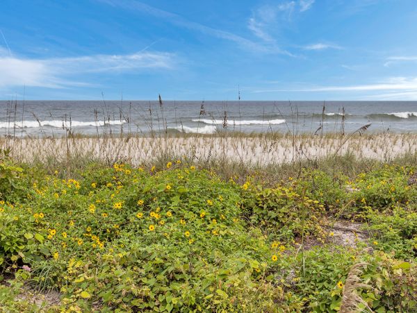 Jacksonville Beach Oceanfront Vacation Rental Beachfront Rental with Ocean Views