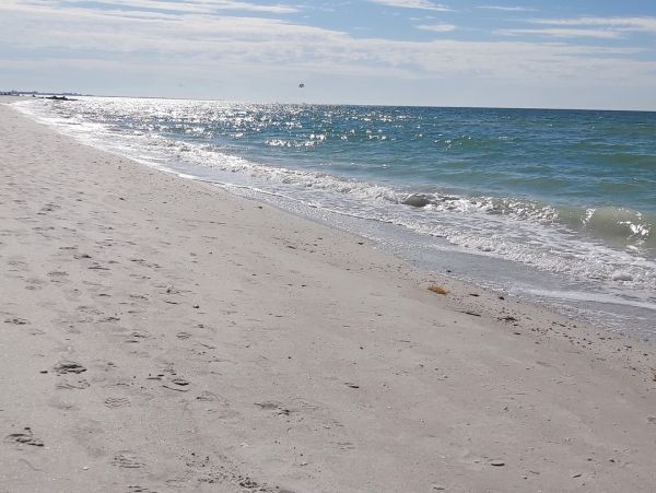 Your Ideal Family Getaway in St. Petersburg 2 Bedroom Home Bay View