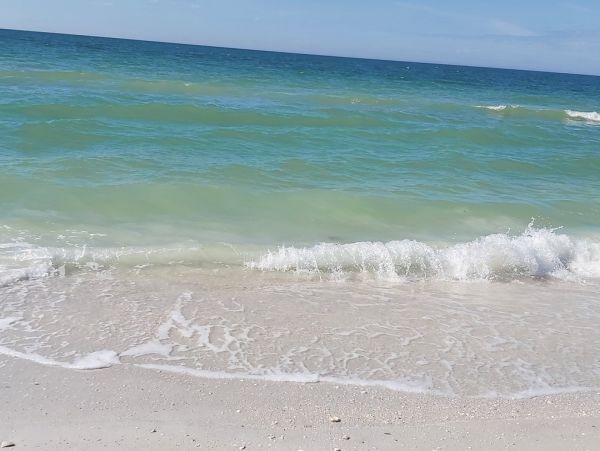 Your Ideal Family Getaway in St. Petersburg 2 Bedroom Home Bay View