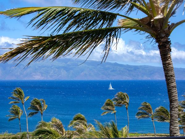 Luxury Oceanfront 3-Bedroom Condo in Kapalua Bay, Maui