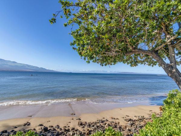 Stunning Oceanfront Condo in Ma'alaea Two Bedroom