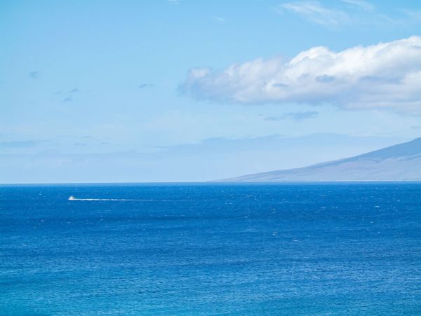 Luxurious Beachfront Property with Premier Amenities