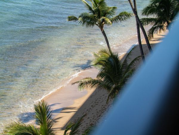 Luxurious Beachfront Property with Premier Amenities