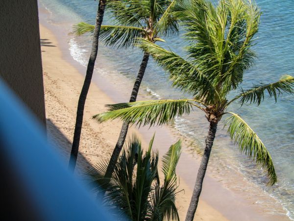 Luxurious Beachfront Property with Premier Amenities