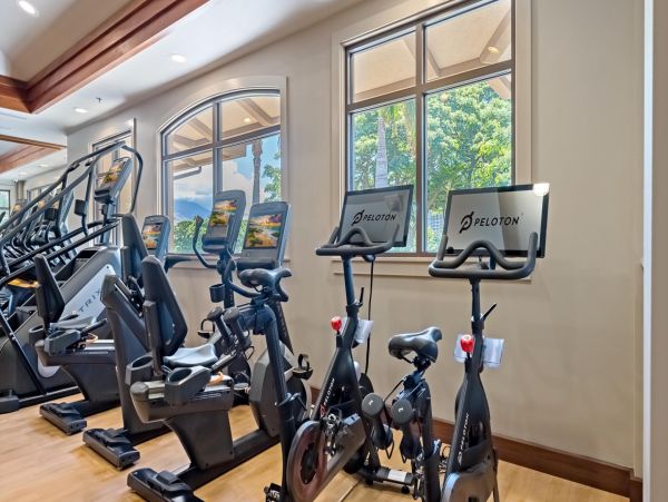 Luxurious Ocean View Condo in Kaanapali