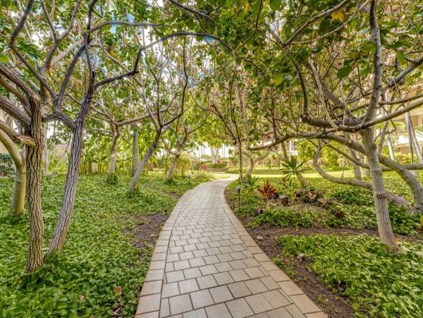 Tropical One-Bedroom Vacation Rental with Ocean Views in Maui