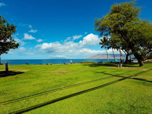 Discover Your Tropical Escape at this Oceanview Retreat