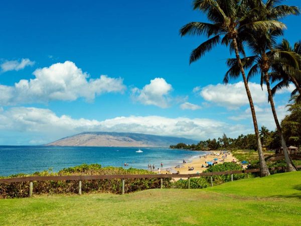 Discover Your Tropical Escape at this Oceanview Retreat