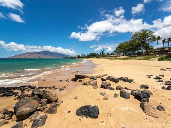 Discover Your Tropical Escape at this Oceanview Retreat