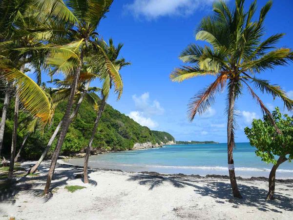 Discover Your Dream Villa in Saint-François, Guadeloupe - Ideal for Family Getaways