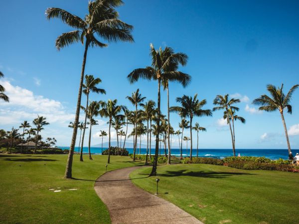 Luxury Residence in Kapalua Bay - Breathtaking Ocean Views