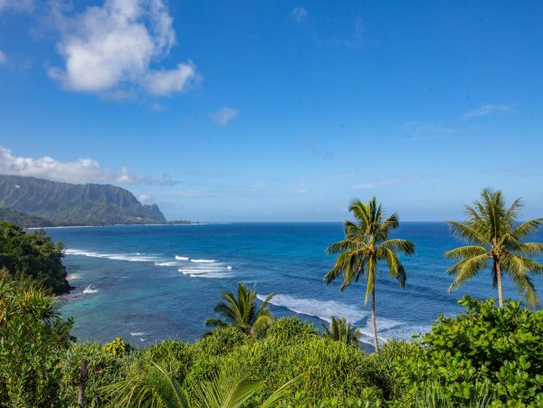 Top Floor Kauai Ocean View Rental 2 Bedroom North Shore Condo