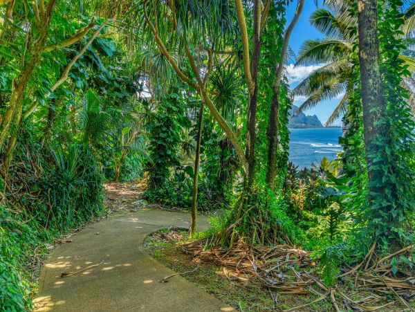 Top Floor Kauai Ocean View Rental 2 Bedroom North Shore Condo