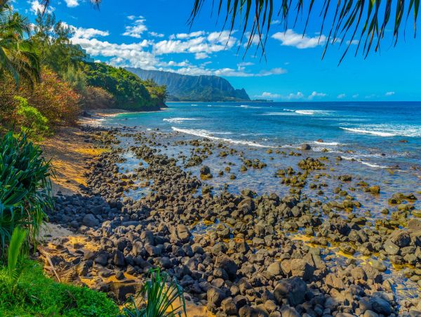Top Floor Kauai Ocean View Rental 2 Bedroom North Shore Condo