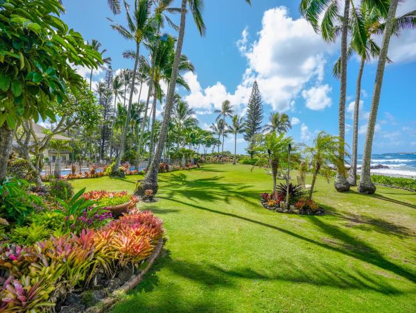 Kauai Ocean View Vacation Rental in Kapaa - Tropical Beachfront Getaway