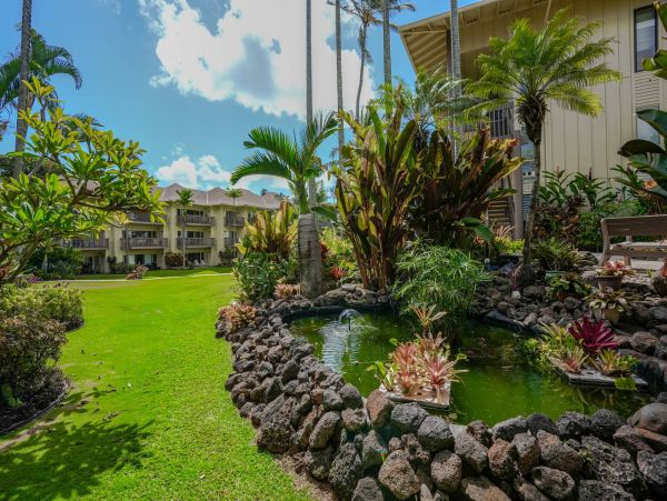 Kauai Ocean View Vacation Rental in Kapaa - Tropical Beachfront Getaway