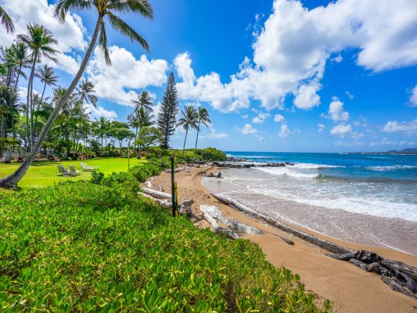 Kauai Ocean View Vacation Rental in Kapaa - Tropical Beachfront Getaway