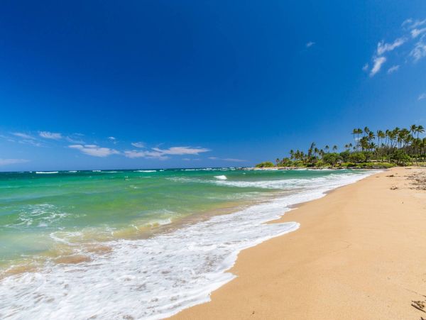 Stunning Full Ocean Views The Best Ever New Arrival Call Today - additional view, photo 4
