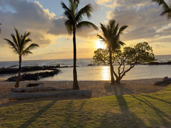 Stunning Full Ocean Views The Best Ever New Arrival Call Today - additional view, photo 5