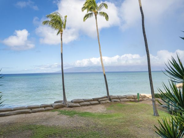 Oceanfront Maui Vacation Rental Kaanapali Coast - 1 Bedroom Condo with Pool