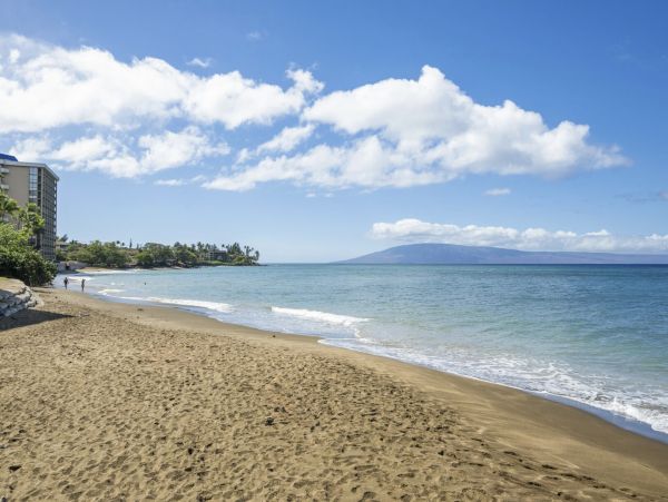 Oceanfront Maui Vacation Rental Kaanapali Coast - 1 Bedroom Condo with Pool