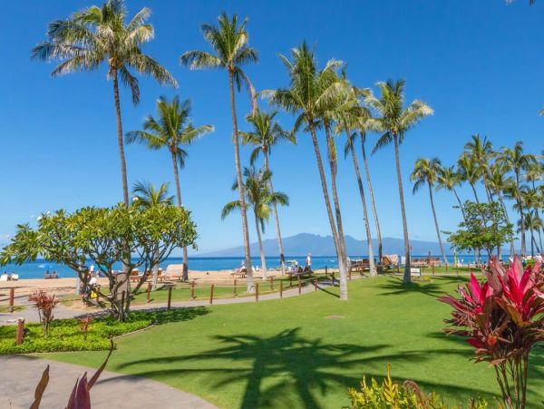 Luxurious Oceanfront 2-Bedroom Residence in Kaanapali - Great Resort Amenities