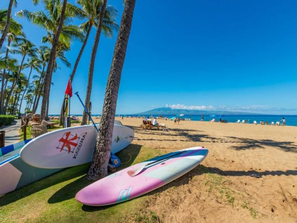 Luxurious Oceanfront 2-Bedroom Residence in Kaanapali - Great Resort Amenities