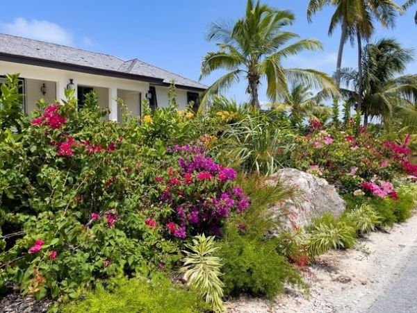 Luxurious Beachfront Four Bedroom Rental in Eleuthera