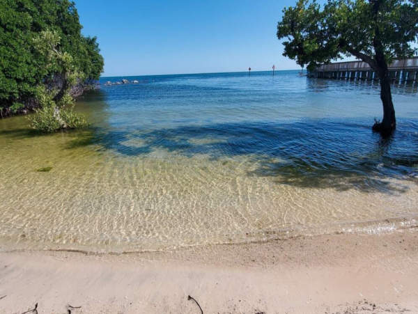Two-Bedroom Condo with Ocean Views in The Florida Keys