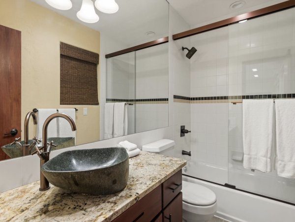 Downtown New Arrival Luxury Town Vacation Home Aspen