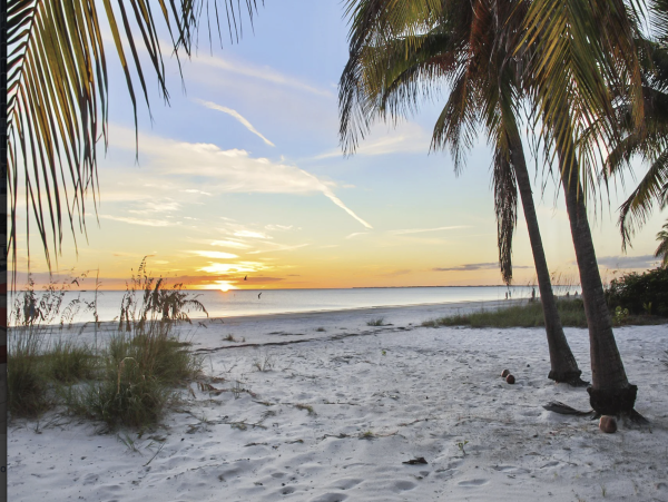 Fort Myers Five Bedroom Private Pool Walk to Beach, Dining & Shopping
