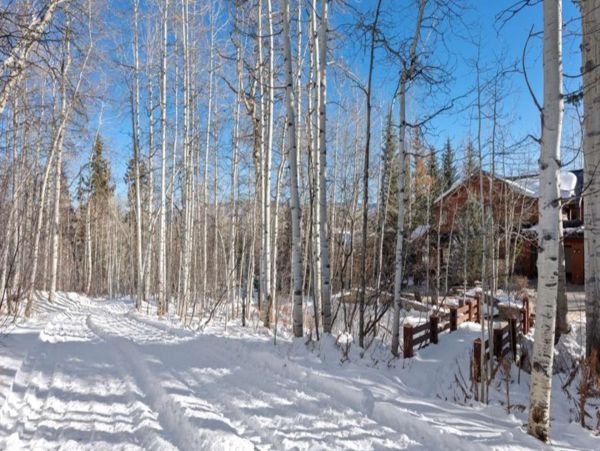 Luxurious 6_Bedroom Snowmass Retreat with Ski-in/Ski-out Access