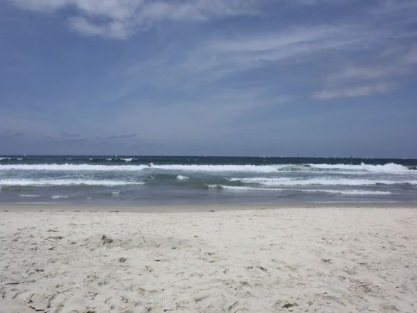 Luxury Coastal Retreat in La Jolla - Designer Furnishing & Private - additional view, photo 3