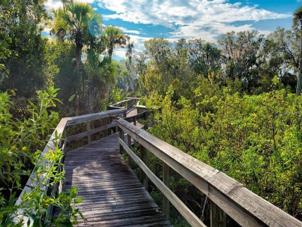 Luxurious 5 Bedroom Waterfront Pool Home in Bradenton