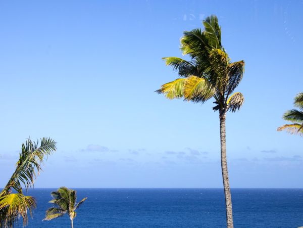 Spacious Kaanapali Beach Composite Retreat for Families