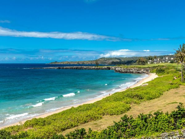 Discover Your Ideal Maui Retreat with Two Spacious Villas