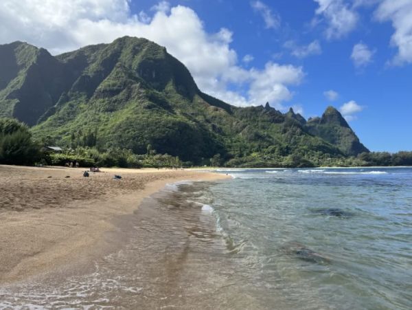 Luxurious 6-Bedroom Tropical Paradise in Princeville, Hawaii - additional view, photo 5