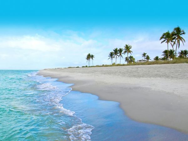 Luxury Naples Oasis with Gulf Access - Your Perfect Retreat