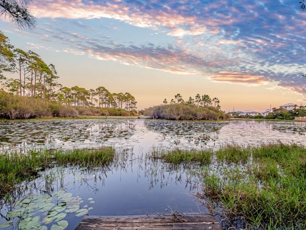 Luxury Beach Retreat on 30A -  Elegance & Comfort