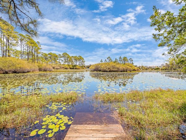 Luxury Beach Retreat on 30A -  Elegance & Comfort