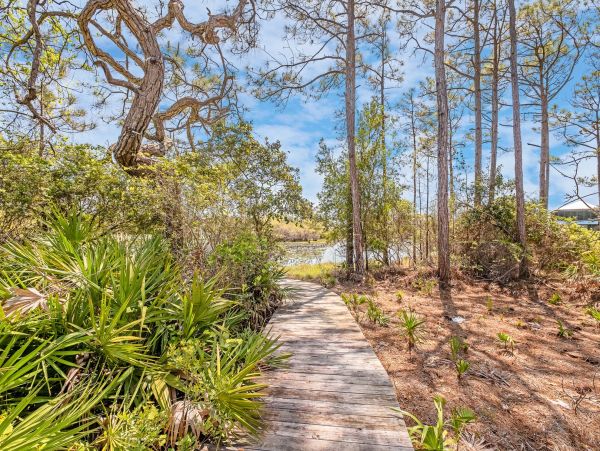 Luxury Beach Retreat on 30A -  Elegance & Comfort