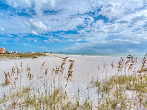Clearwater Wonderful Vacation Home Steps to Beach- Main House & Casita