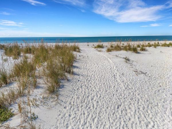 Clearwater Wonderful Vacation Home Steps to Beach- Main House & Casita
