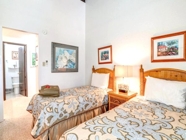 Luxurious Napili Getaway - Perfect for Families and Groups