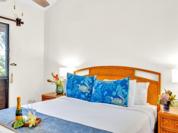 Luxurious Napili Getaway - Perfect for Families and Groups