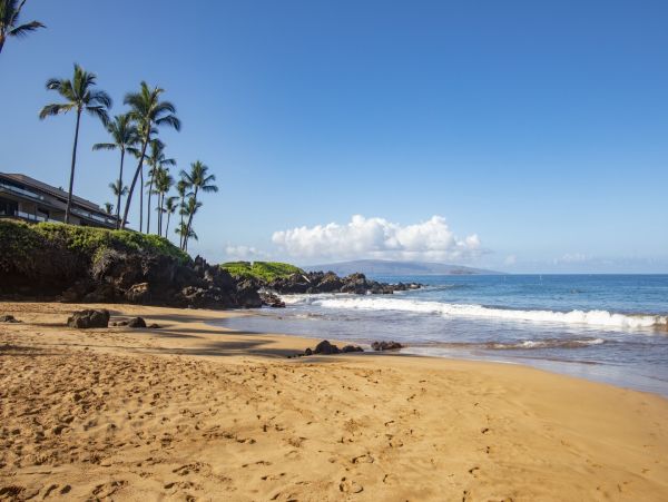 Maui Beachfront Vacation Rental - Wailea Oceanfront Condo