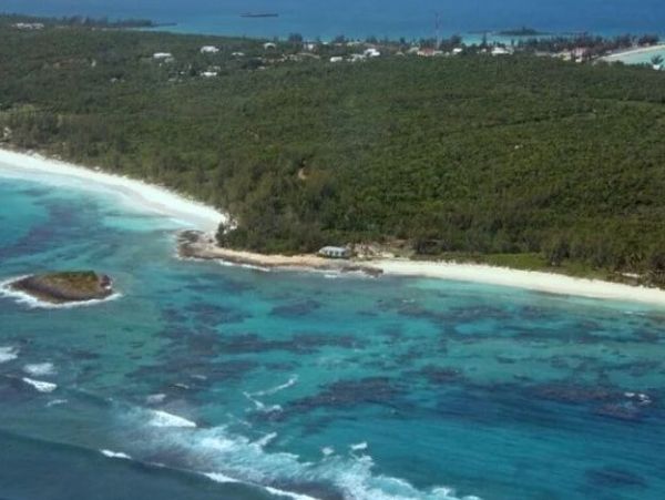 Bahamas Beachfront Vacation Rental - Family-Friendly Oceanfront Estate