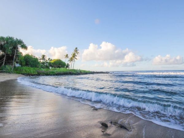 Ocean View Cottage Poipu - Kauai Vacation Rental with A/C