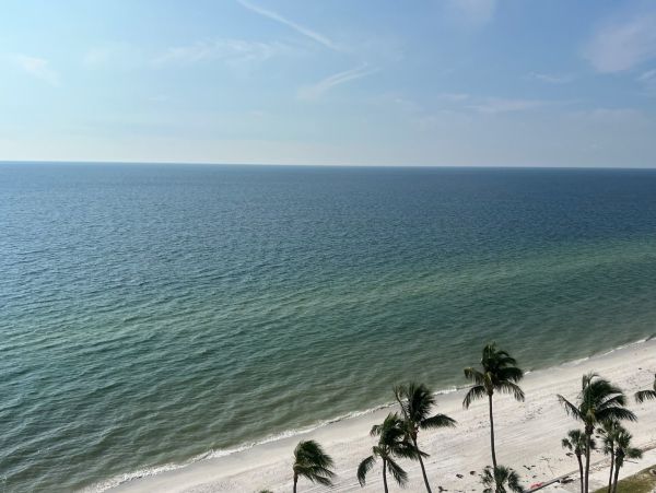 Beachfront Condominium - Unmatched Gulf Views