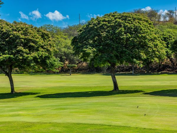 Luxury Maui Vacation Rentals - Wailea Condo Retreat